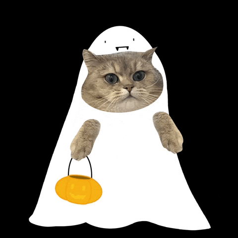 halloween-1026